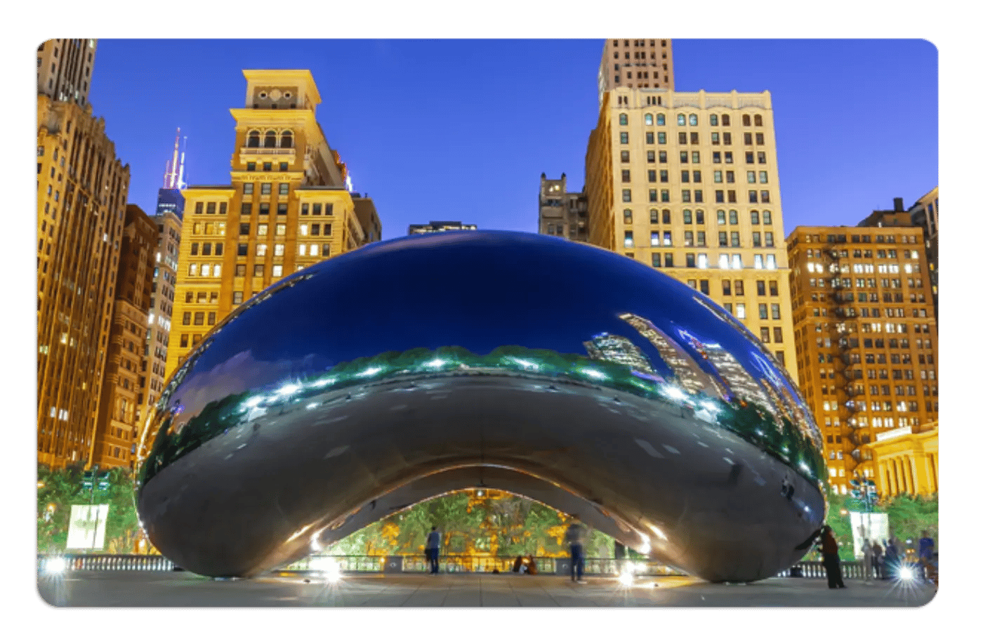 chicagobean-small