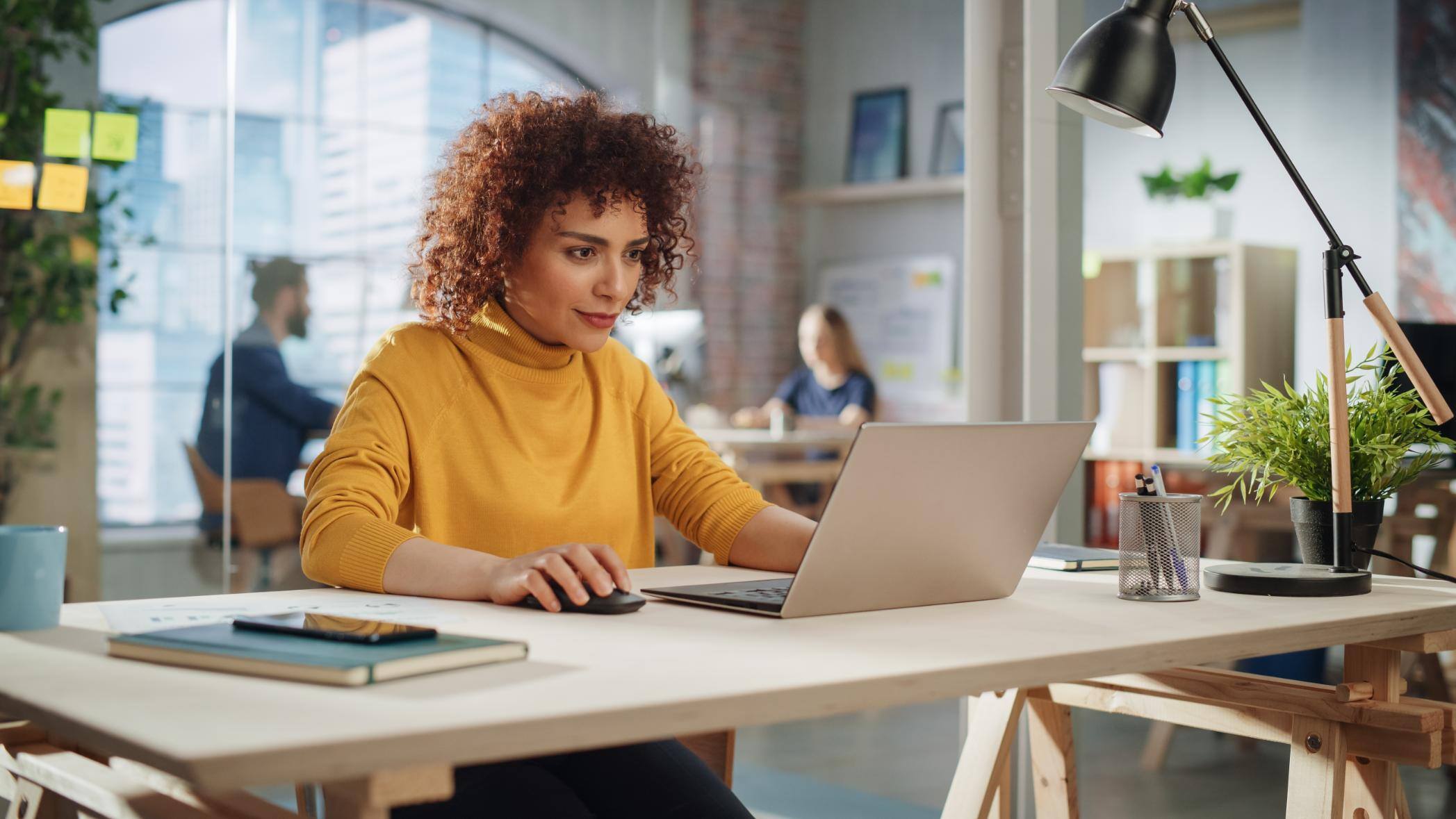 Business woman working on a computer at a desk