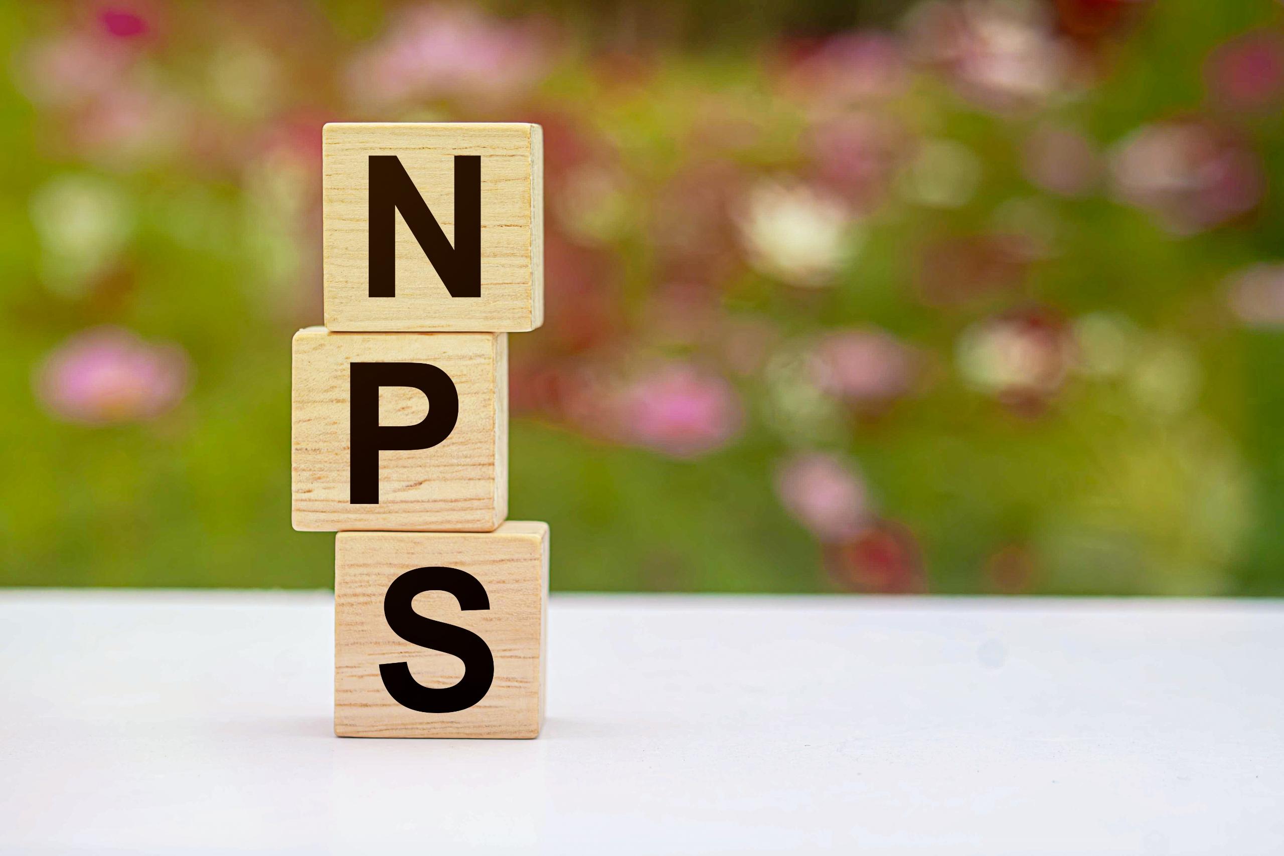 Image of blocks with the letters NPS